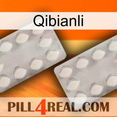 Qibianli 17